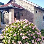 Tatil Evi Stone House In Dobrec With Sea Views *