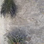 Stone House In Dobrec With Sea Views Hébergement de vacances *