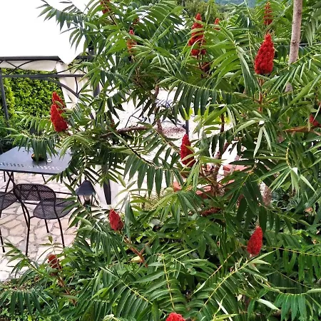 Holiday home Iva In - Dobrec, With Panoramic View Lovran